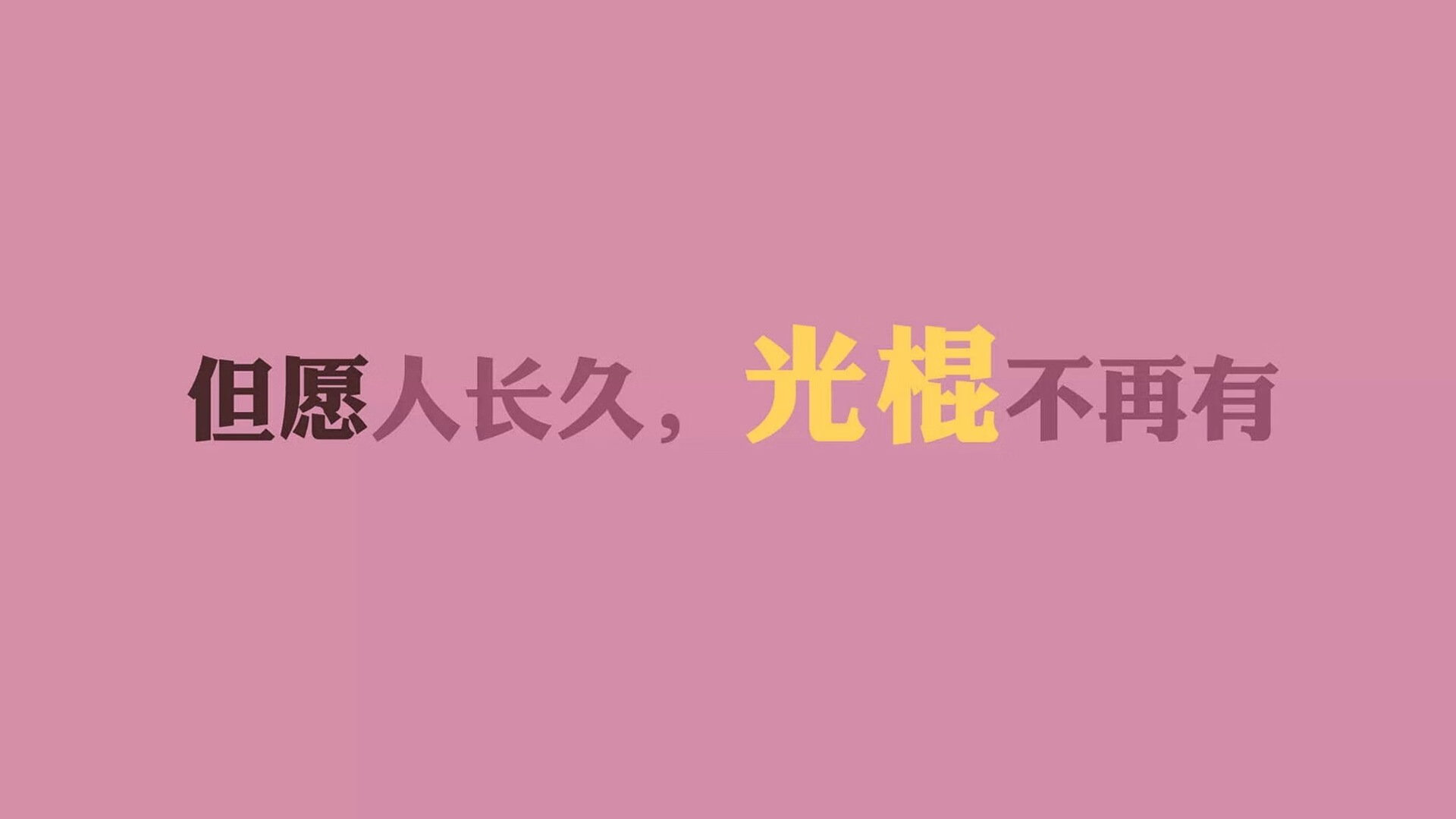 2026 热门蛋白粉品牌抽检报告：植物提取蛋白在 2026 年为何成为主流？