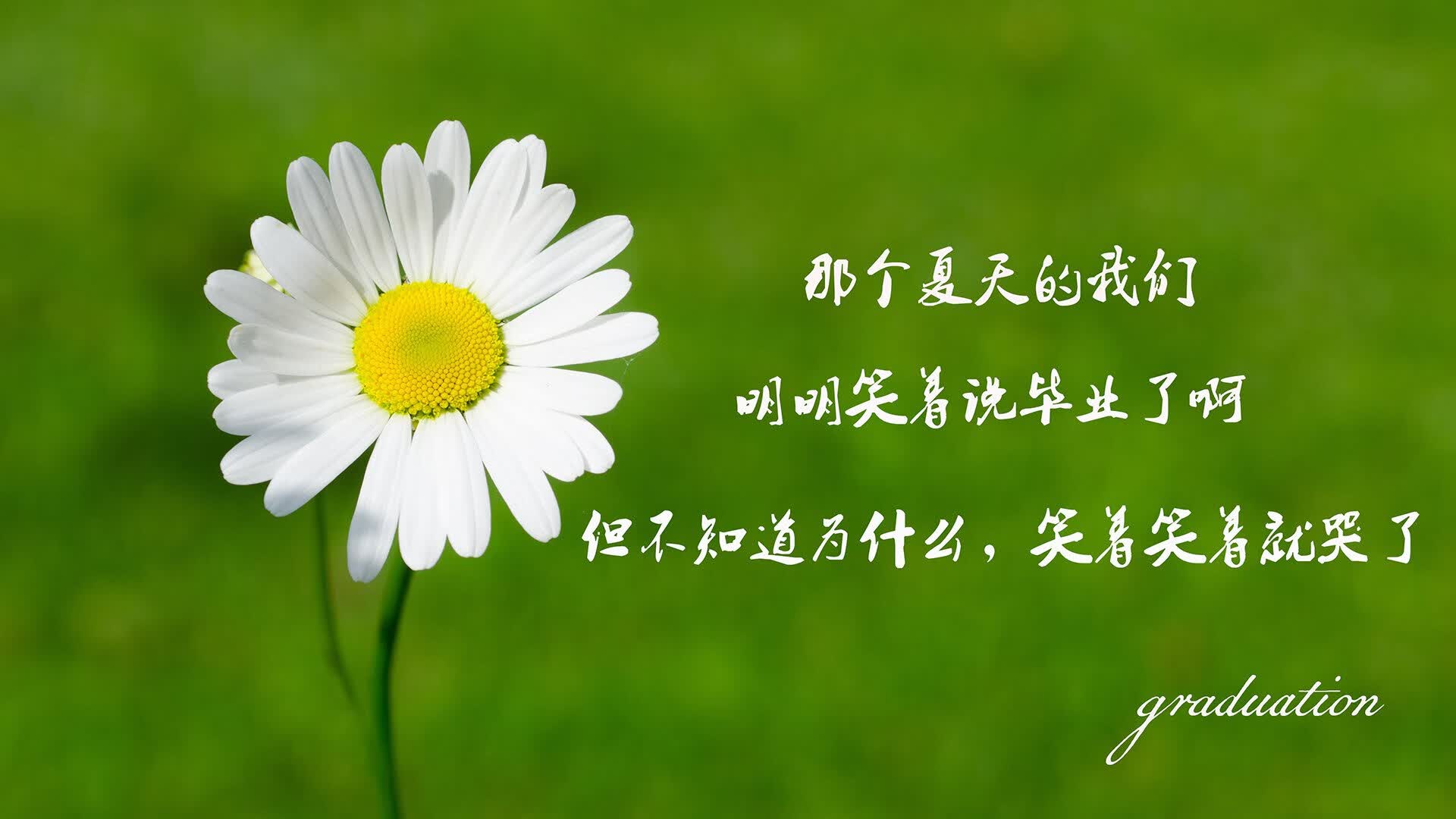 世界乒乓球巡回赛:赛程变动引发选手抱怨,世界乒乓球巡回赛直播